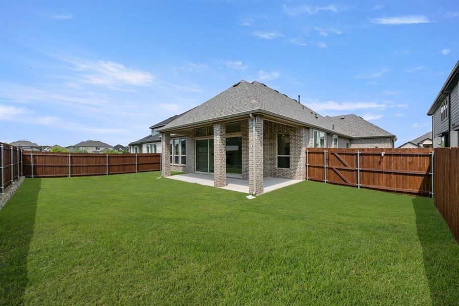 2102 Pelican- Back-1