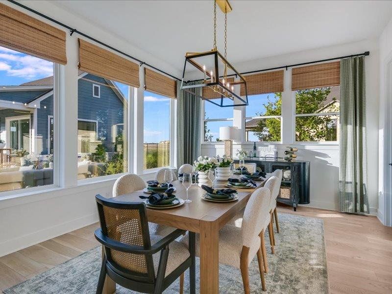 Dining Daytime Dining Daytime