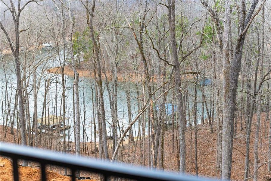 Natural landscape and outdoor views near  in Gainesville (Image 96).