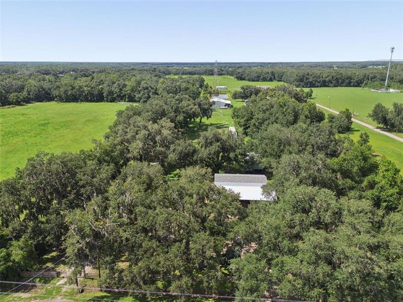 Natural landscape and outdoor views near in Plant City (Image 58). Natural landscape and outdoor views near in Plant City (Image 58).
