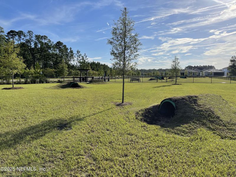 Natural landscape and outdoor views near Tributary in Yulee (Image 18).