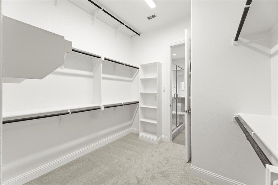 17. 721 Phoenix - Closet