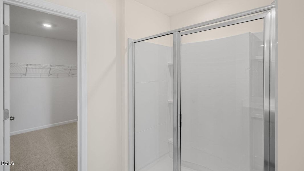 collinswood-lot-65-026 collinswood-lot-65-026