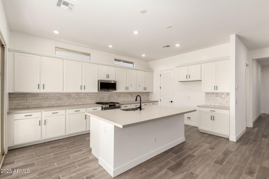 14 - Wollemi 43513 14 - Wollemi 43513