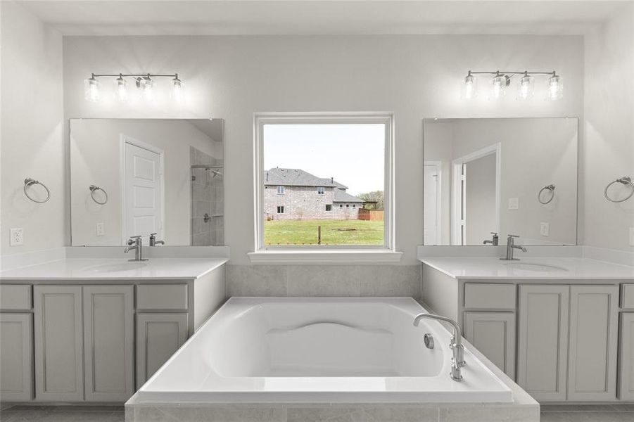 13_Grapevine II_Representative Photo