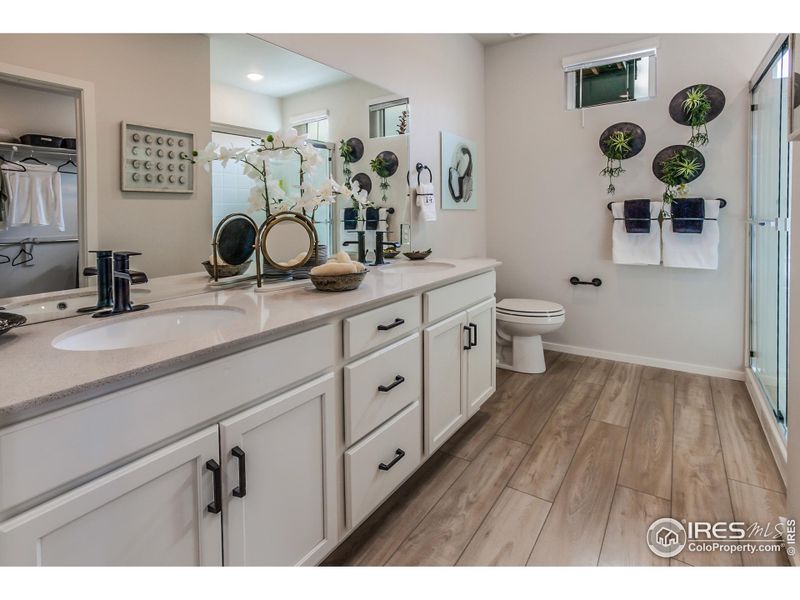 EXAMPLE PHOTO: MASTER BATH