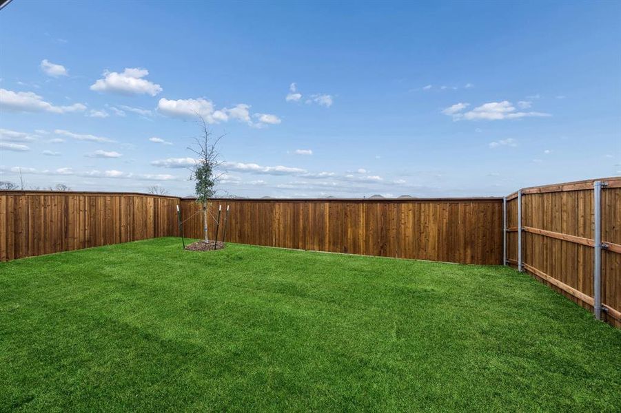 Yard in the Cedar home plan by Trophy Signature Homes – REPRESENTATIVE PHOTO