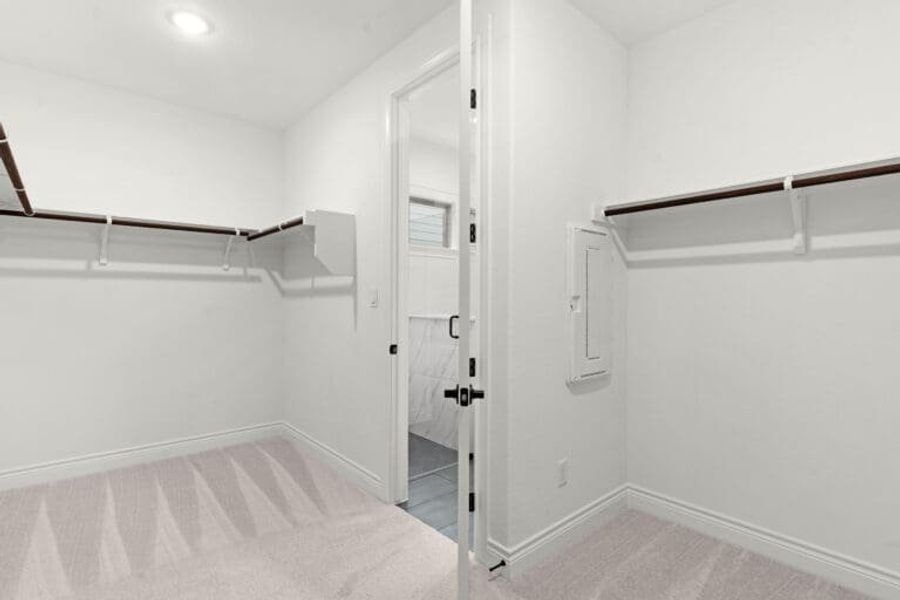 328 Buckaroo Segovia Sitterle Homes Austin Parmer Ranch