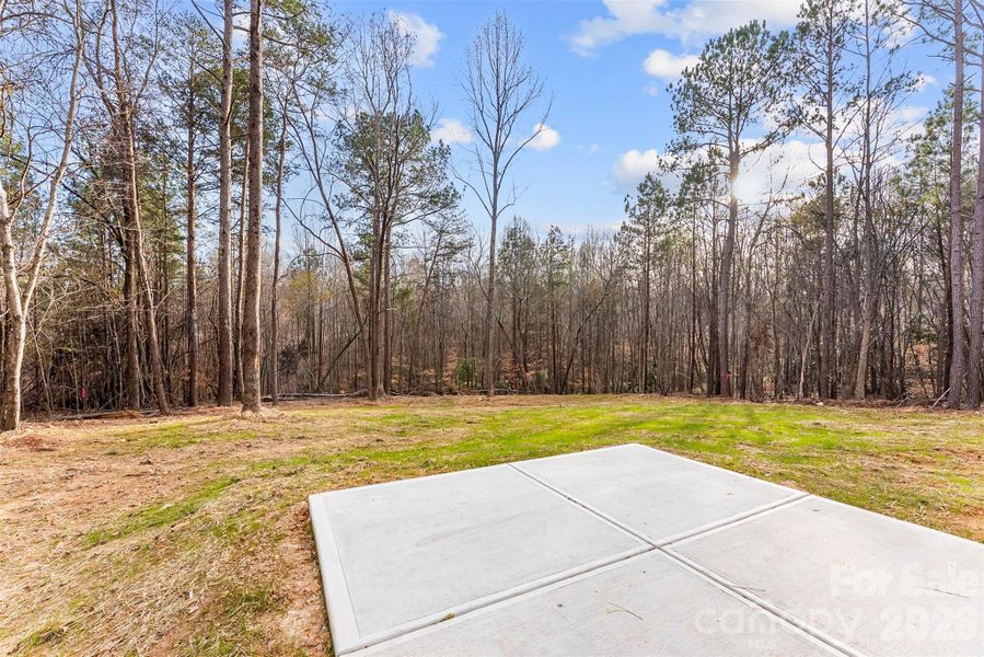 Natural landscape and outdoor views near  in Shelby (Image 43).