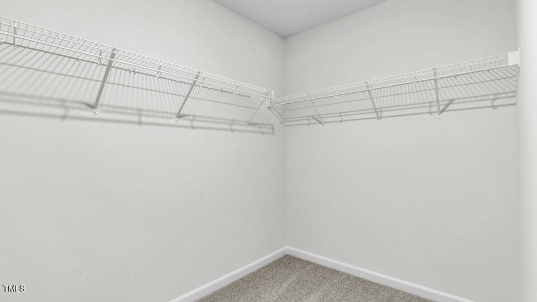 lot-31-809-comice-pear-way-willow-spring