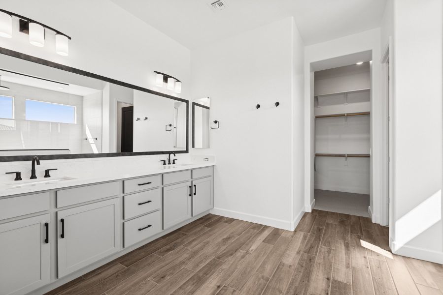 Owner's Bath