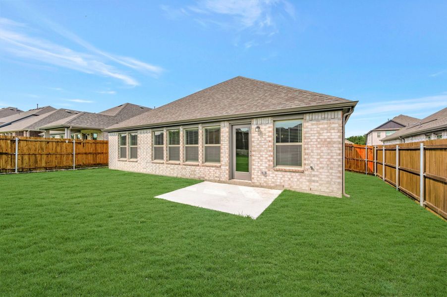 Backyard Backyard