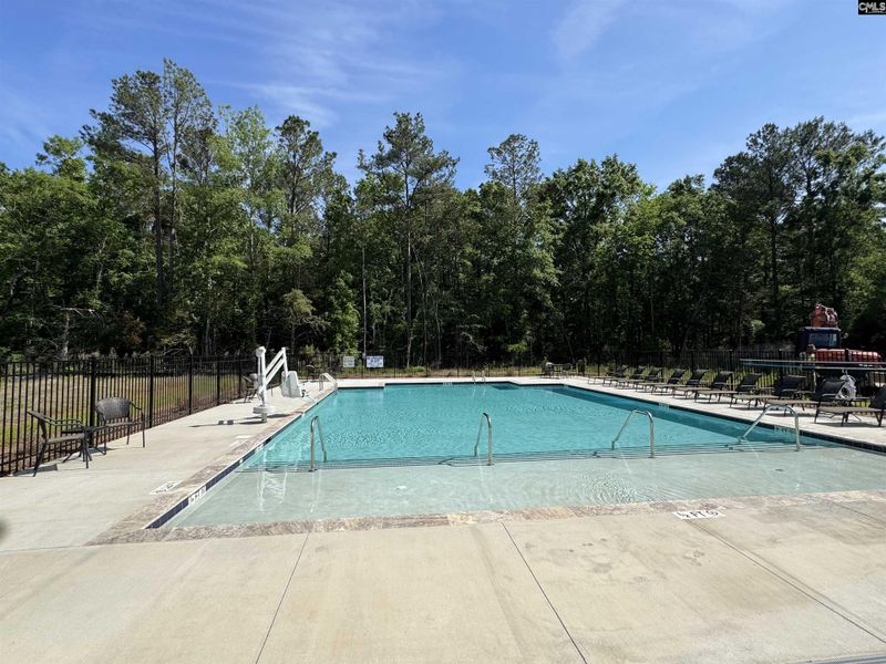 Community amenities in Boykin Hills, Chapin (Image 32).