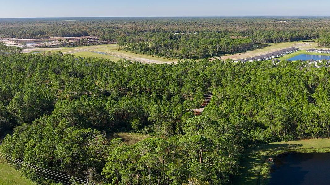 Natural landscape and outdoor views near Colbert Landings in Palm Coast (Image 65).