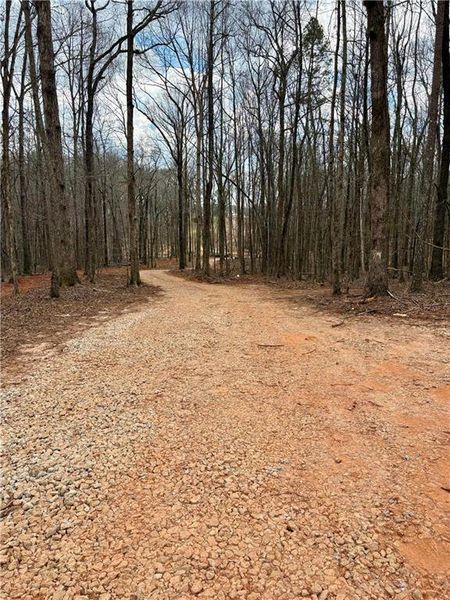 Natural landscape and outdoor views near  in Covington (Image 25).