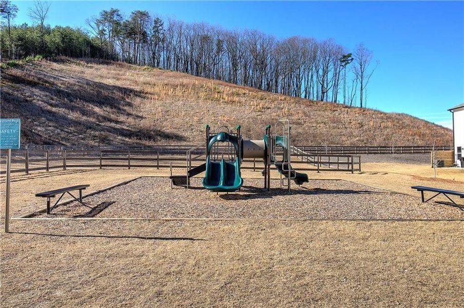 Community amenities in , Cartersville (Image 33).