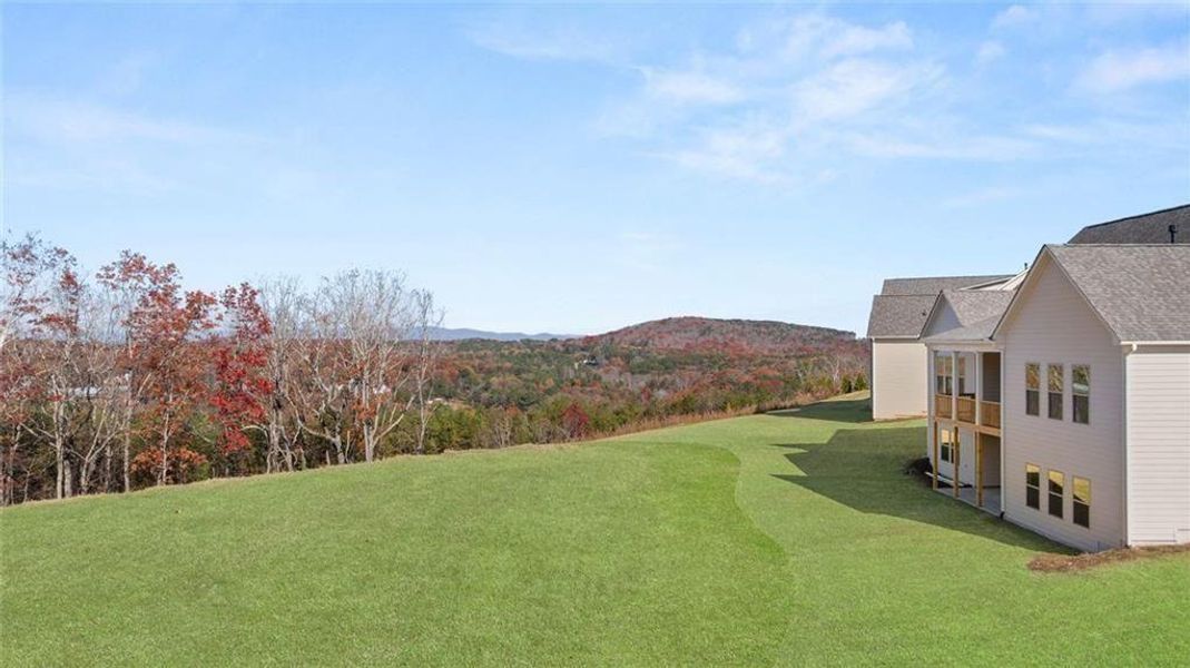 Exterior details and patio area of a home in Horizon at Laurel Canyon, Canton (Image 35).