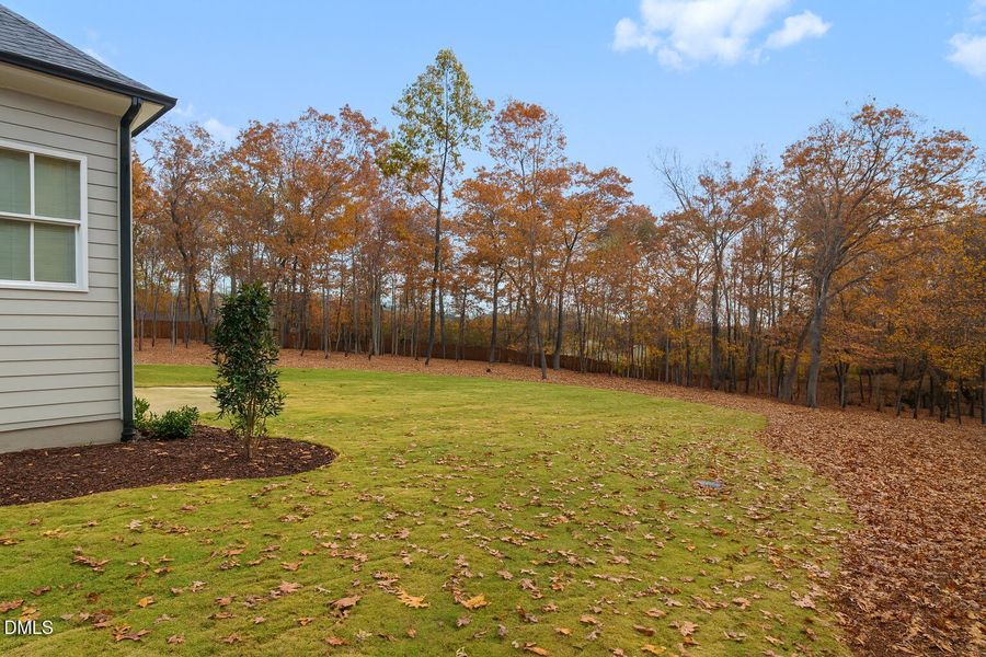 backyard lt 3 hbd 11-25