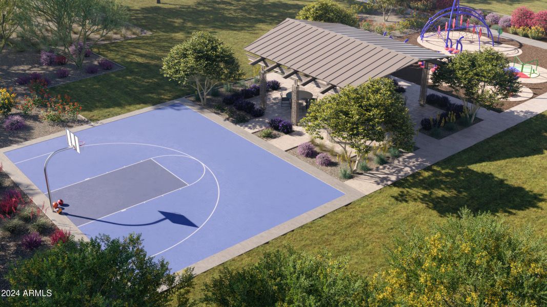 Amenity Basketball Court