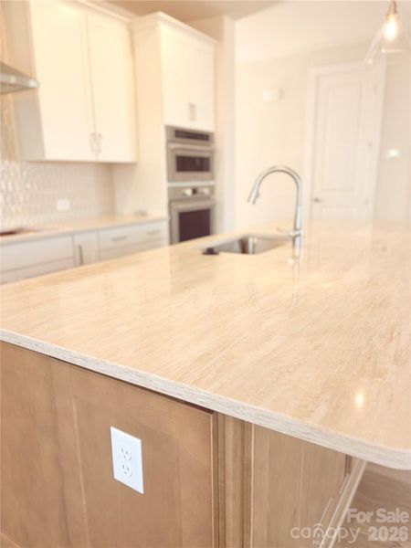 Close-up of interior finishes inside a home in The River District - Pioneer Collection, Charlotte (Image 9).