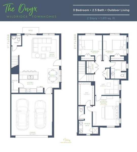 Onyx_VS_2572_6.27.25 nonbranded_Page_1