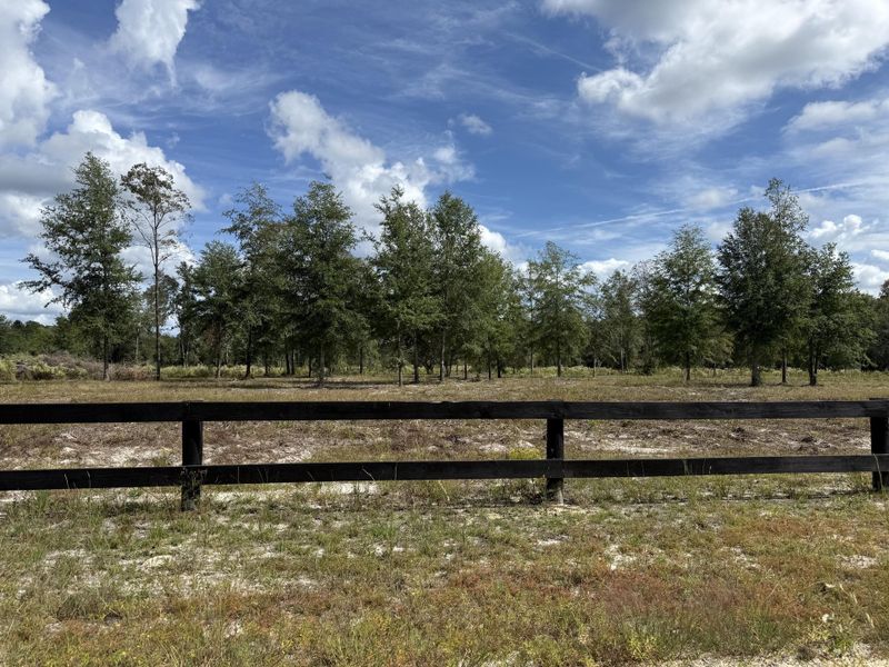 Natural landscape and outdoor views near  in Dorchester (Image 11).