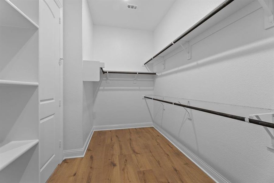 DAL_Painted Tree_Haskell II_4005 Gervais Drive (25)