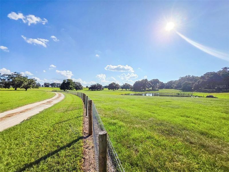 Natural landscape and outdoor views near in Morriston (Image 26). Natural landscape and outdoor views near in Morriston (Image 26).