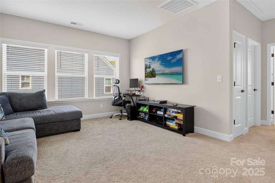 Another view of bonus/loft Another view of bonus/loft