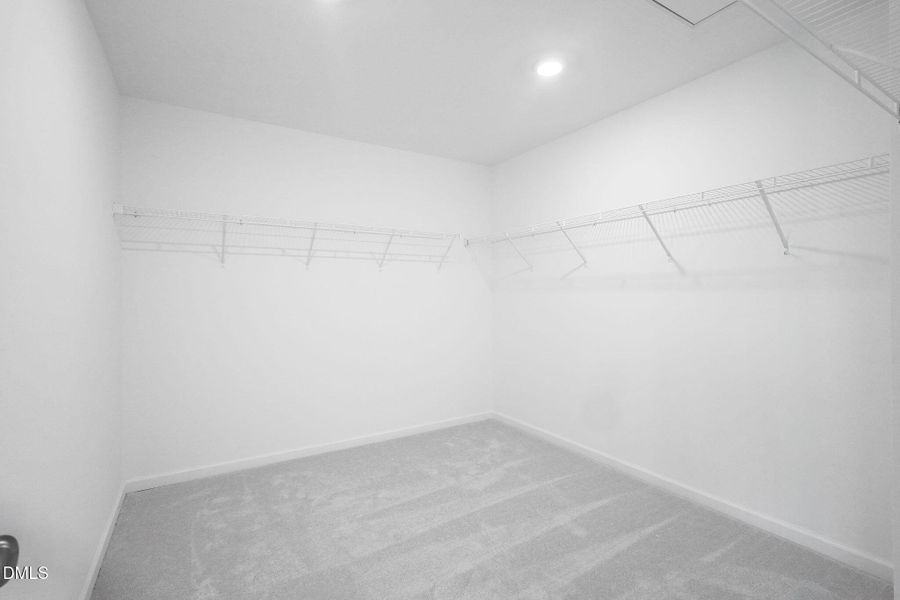 SUN_CaitlinCrossing_Pic_Davidson-33