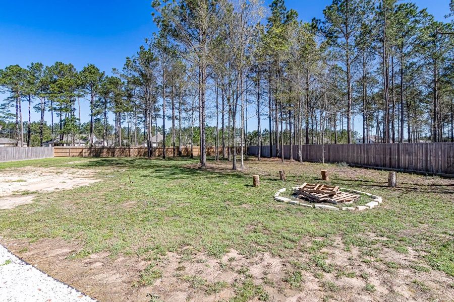 Natural landscape and outdoor views near  in Conroe (Image 40).