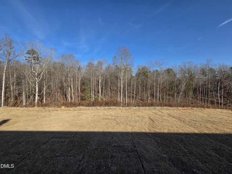 188 Prairie Wolf Street_back yard view