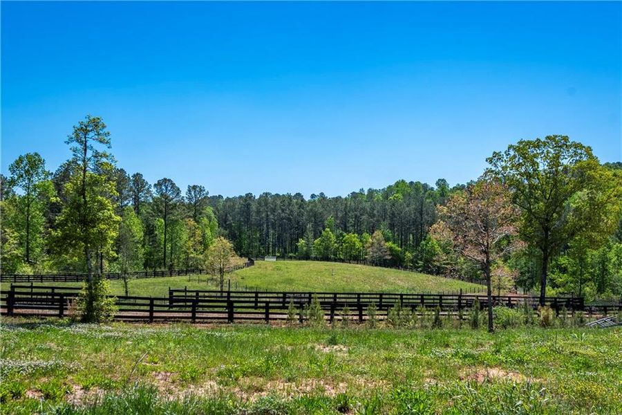 Natural landscape and outdoor views near  in Talking Rock (Image 51).