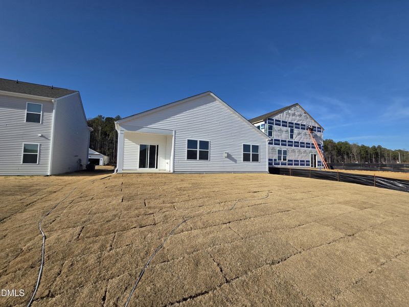 206 Pisgah Street_backyard