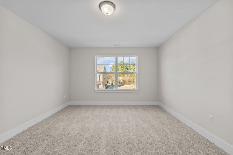 34-web-or-mls-_1167914