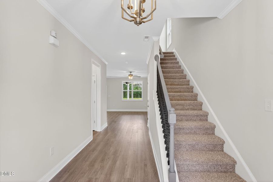 7-web-or-mls-008_P1539337 - Copy