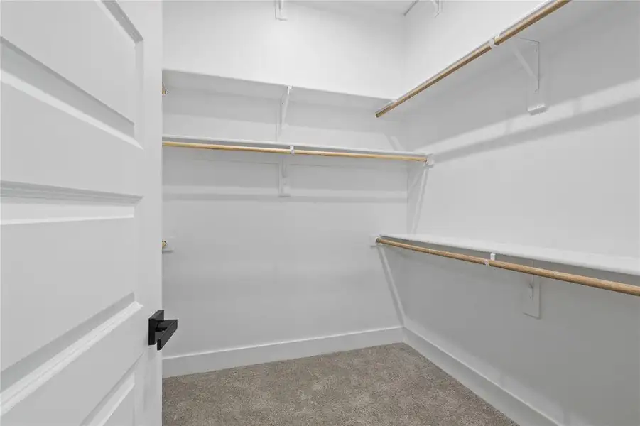 Walk in closet featuring carpet flooring
