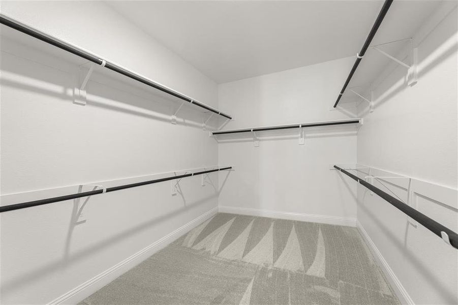 1417 Casting Ridge  Closet