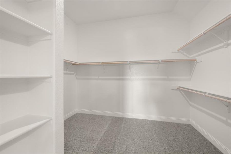 375 Paddle Boat- Primary SUite-6 375 Paddle Boat- Primary SUite-6