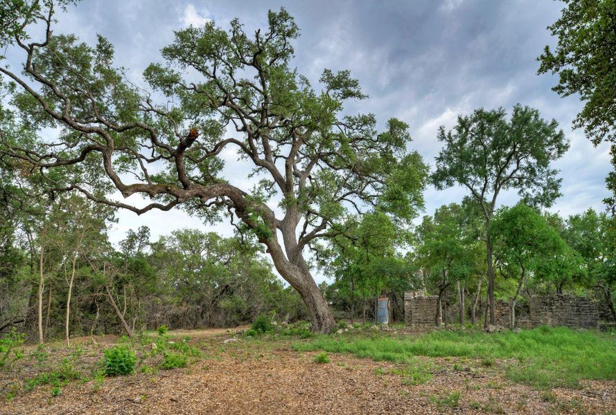 Natural landscape and outdoor views near  in Austin (Image 22).