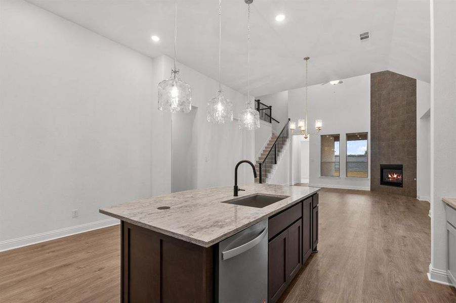 DAL_Painted Tree_Kilgore IV_4213 Attwater Street (11)