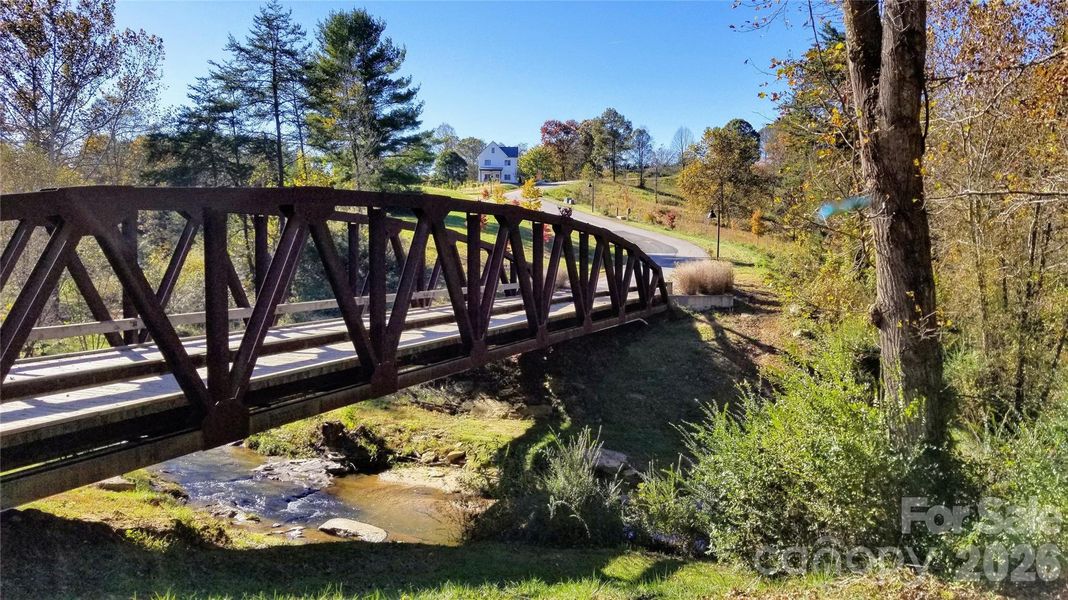 Natural landscape and outdoor views near  in Asheville (Image 32).