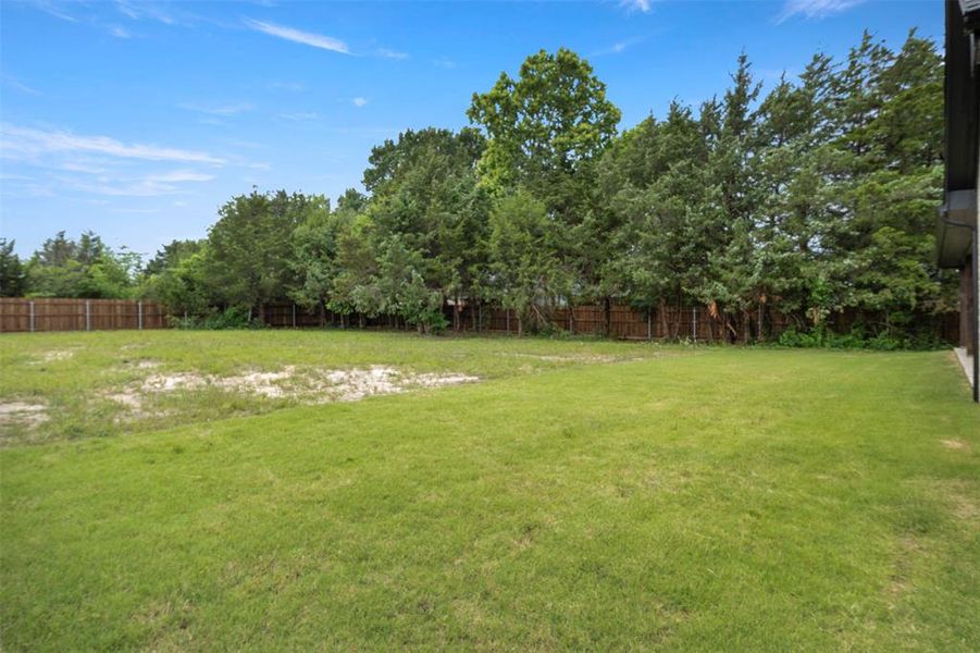 Natural landscape and outdoor views near  in Ector (Image 29).