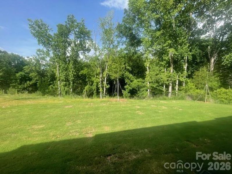 Enjoy views of the nature preserve from your back porch