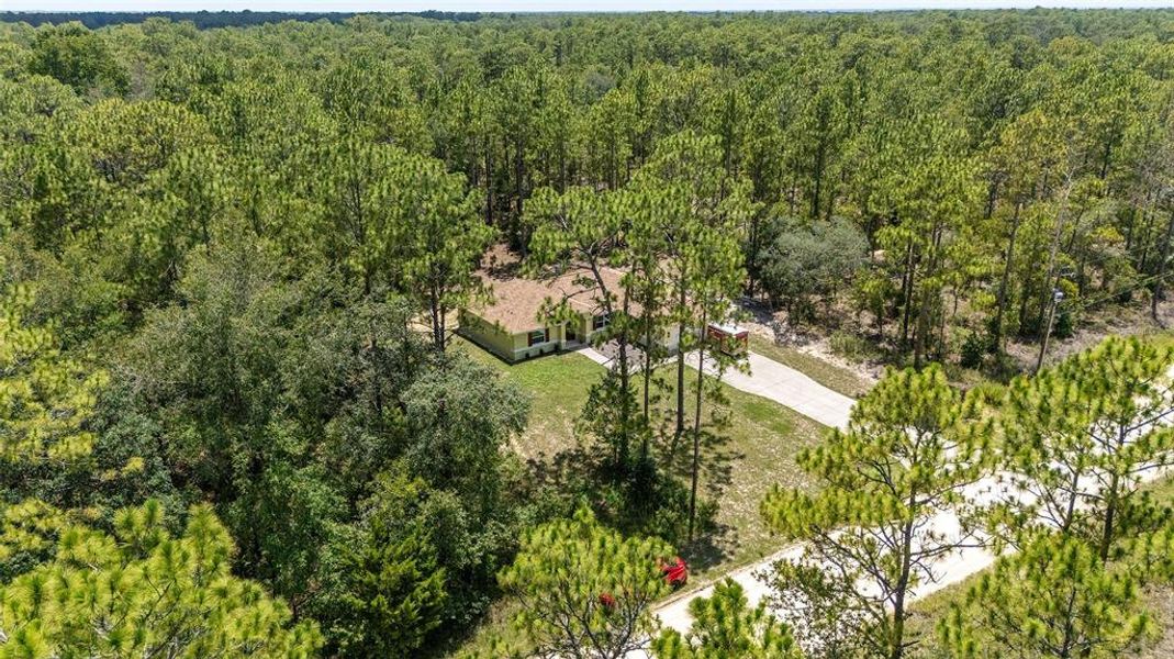 Image 40 of a home in Rainbow Springs.