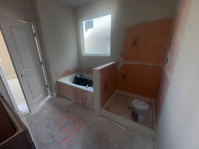 Primary bath Primary bath