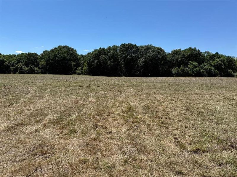Natural landscape and outdoor views near  in Kemp (Image 10).