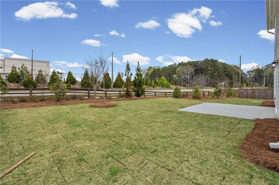 Exterior details and patio area of a home in Crossvine Estates, Braselton (Image 3).