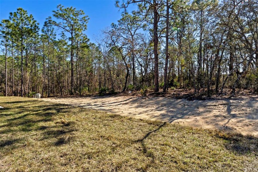 Natural landscape and outdoor views near  in Brooksville (Image 39).