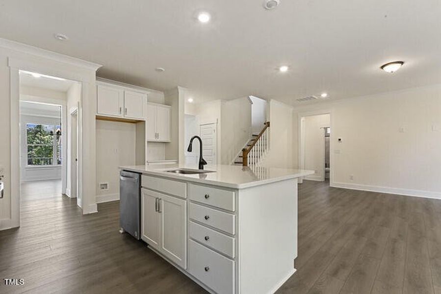 54562913172_4ae8ce70c8_z